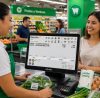 Delfín Software